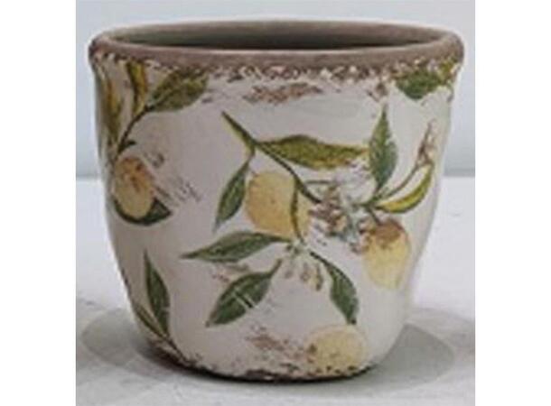 Blomsterpotte m/sitron keramikk 11x10cm 