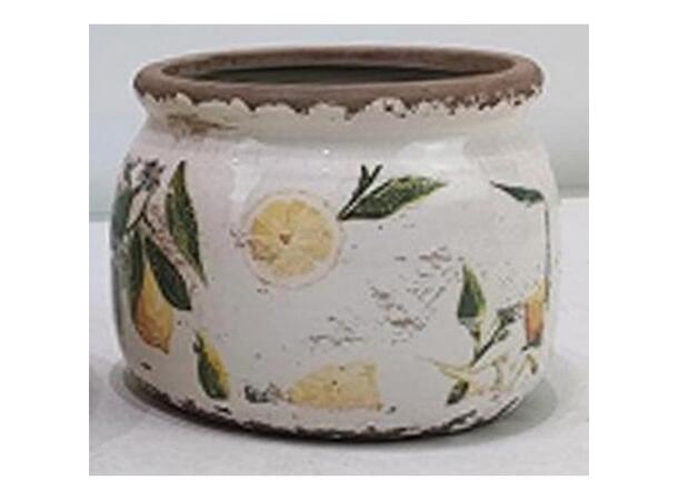 Blomsterpotte m/sitron keramikk 12x10cm 