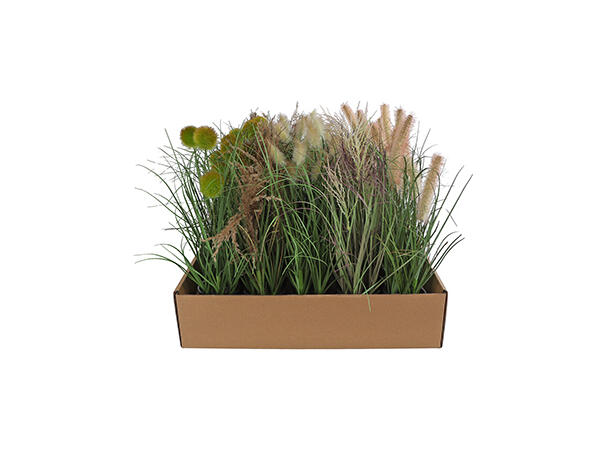 Gressplante i potte 6,5x32cm 5ass 
