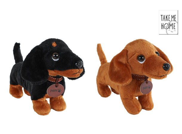 Hund plysj kosedyr 24cm 2ass Take Me Home FSC Mix-emballasje C213449 