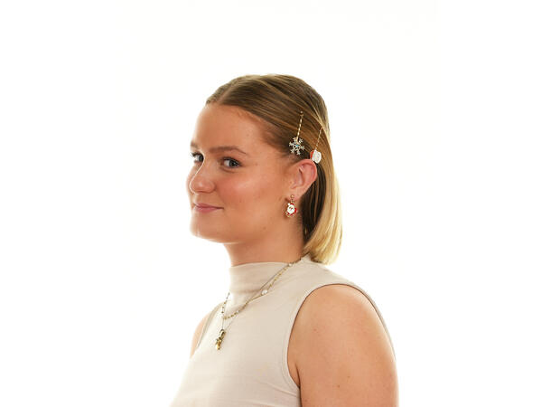 Hårnål nisse, snøflak, reinsdyr 3stk 