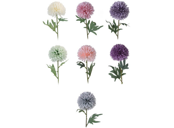 Kvist dalia blomster 60cm 7ass 