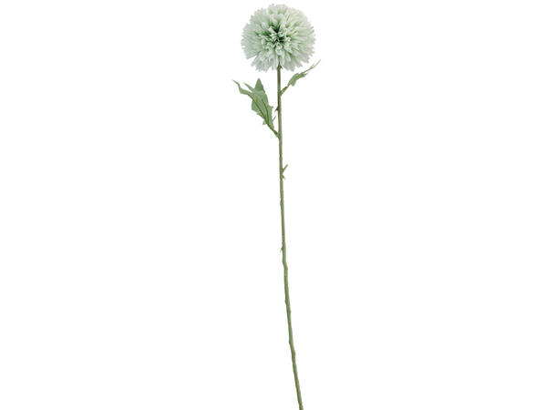 Kvist dalia blomster 60cm 7ass 