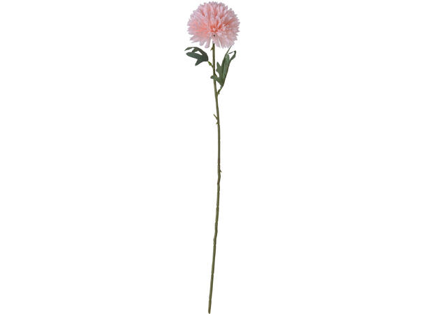 Kvist dalia blomster 60cm 7ass 