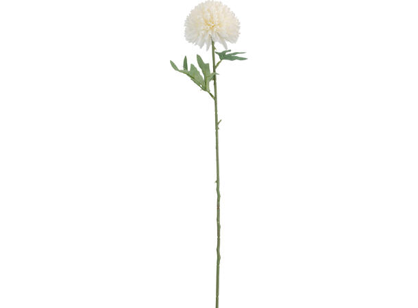 Kvist dalia blomster 60cm 7ass 