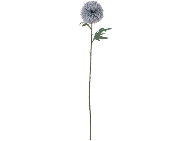 Kvist dalia blomster 60cm 7ass 