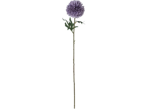 Kvist dalia blomster 60cm 7ass 