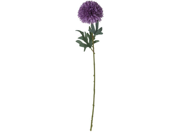 Kvist dalia blomster 60cm 7ass 