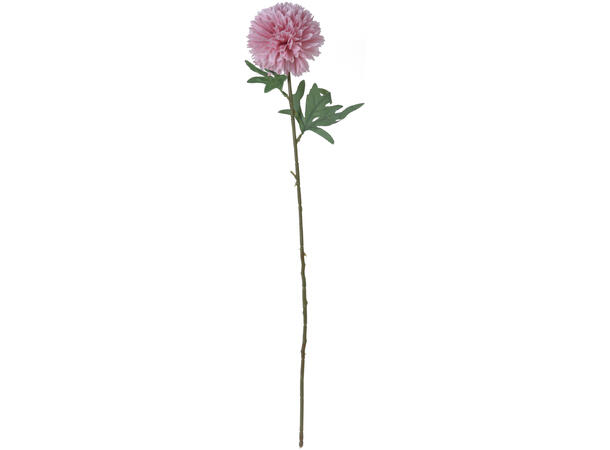 Kvist dalia blomster 60cm 7ass 