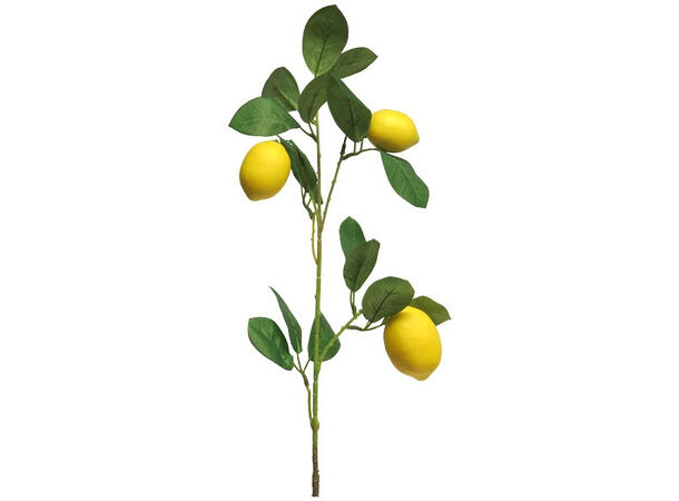 Kvist m/sitron kunstig 74cm 