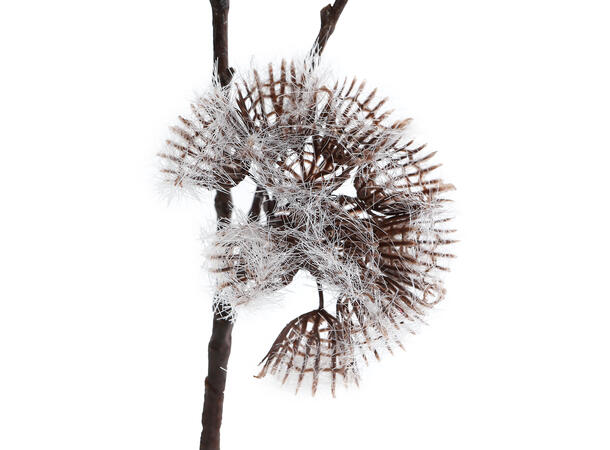 Kvist med løvetannblomster 81cm 