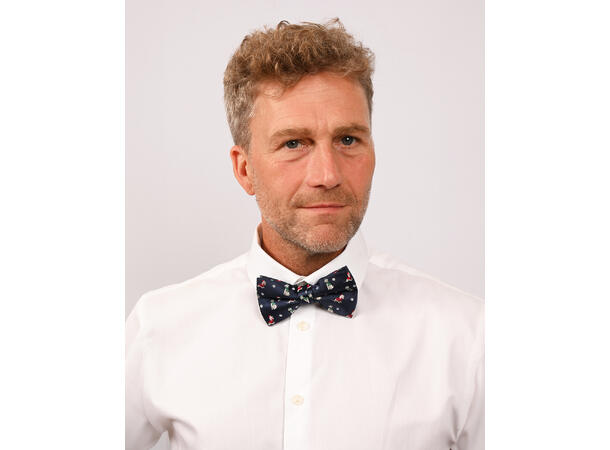 Sløyfe blå m/hund voksen Pakket i gaveeske 