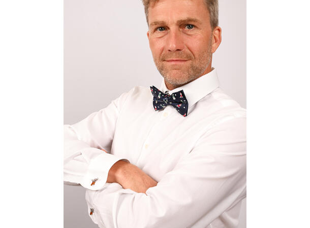 Sløyfe blå m/hund voksen Pakket i gaveeske 