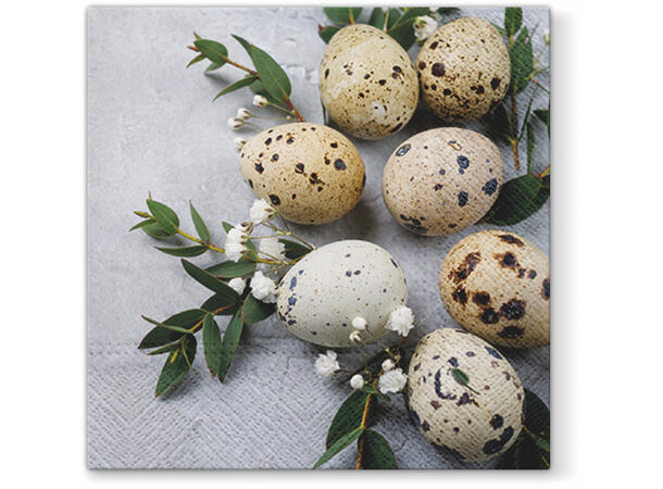 Serviett Natural eggs Lunsjserviett 20 stk 3-lags 33x33cm 