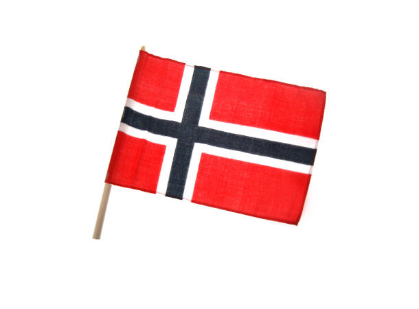 Flagg Norge 16x12cm pinne 40cm 17. mai Noreg Norske flagg 