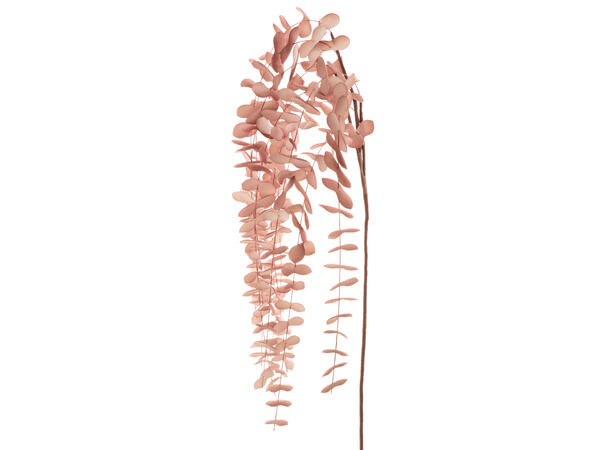 Kvist m/rosa eukualyptus henge 130cm 