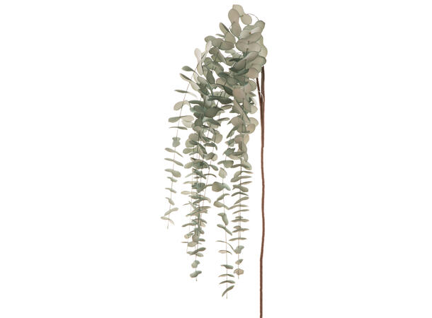 Kvist m/grønn eukalyptus henge 130cm 