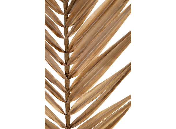 Kvist palmegren 110cm brun 