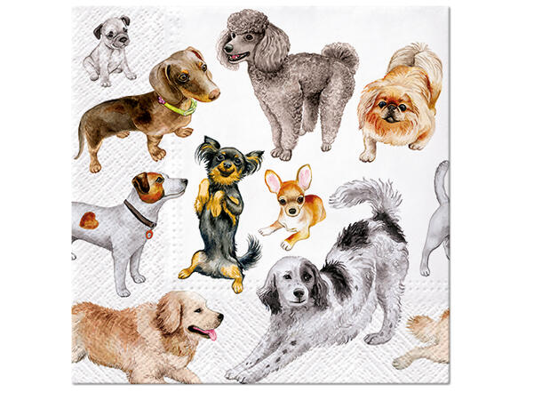 Serviett Dogs Happiness Lunsjserviett 20 stk 3-lags 33x33cm 