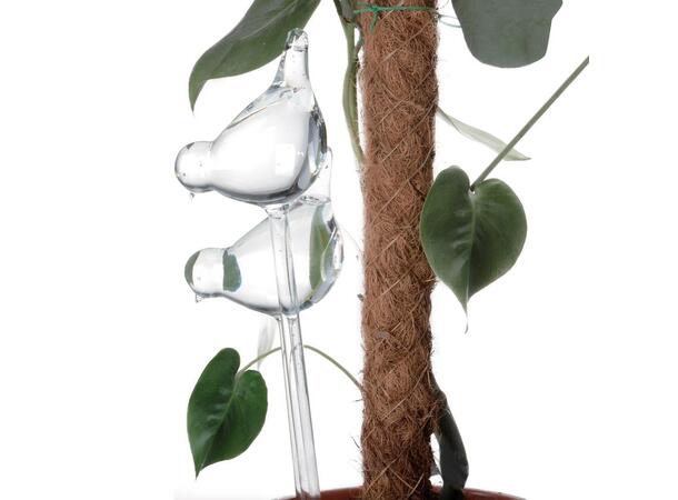 Selvvanner Fugl glass 36cm  s/2 