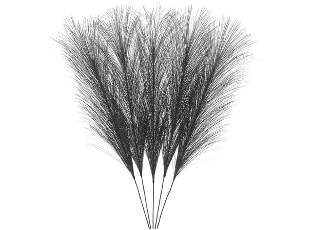 Fjær sort 5stk 5x22cm Til dekor etc 