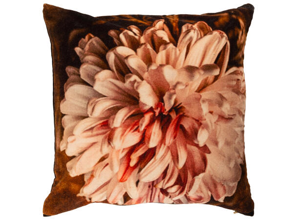 Pute 45x45cm m/trekk velur pion brunrosa Pute fjær/dun 680gram fyllvekt 