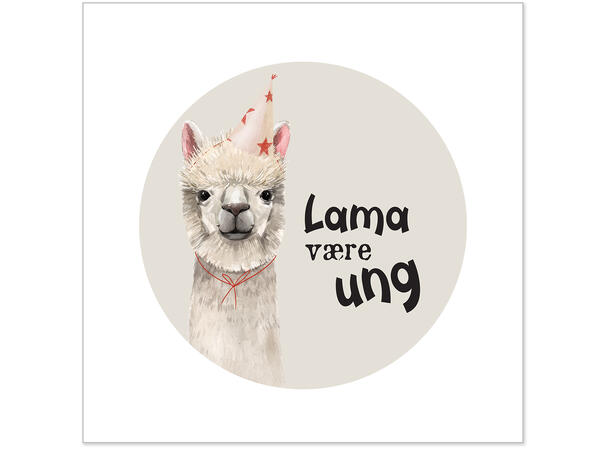 Serviett Lama være ung Lunsjserviett 20 stk 3-lags 33x33cm 