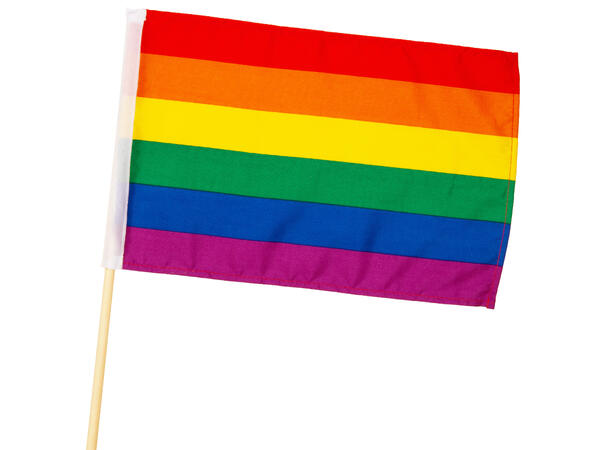 Flagg Pride stoff 20x30cm pinne 55cm Polyester 