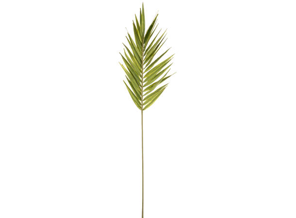 Kvist palmegren 110cm grønn 