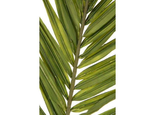 Kvist palmegren 110cm grønn 