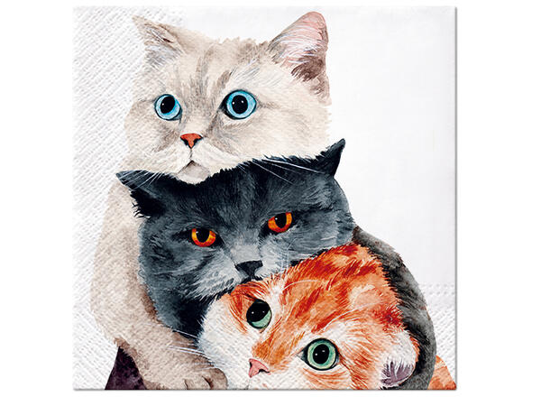 Serviett Better Together Lunsjserviett 20 stk 3-lags 33x33cm 