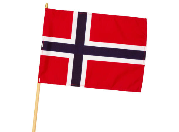 Flagg Norge 20x28cm pinne:65cm 