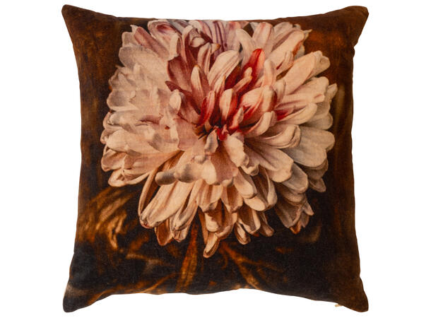 Putetrekk velur pion brunrosa 45x45cm 