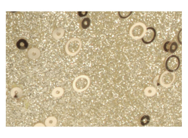 Sløyfe gull glitter 23x29cm 2ass Assortert med glitter/perle 