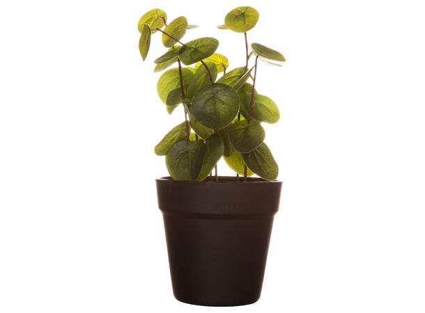 Plante grønne blad sort potte 14x14x33cm Kunstig plante m/sortfarget jord/sand 