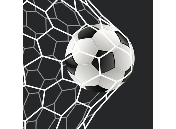 Serviett Fotball i mål Lunsjserviett 20 stk 3-lags 33x33cm 