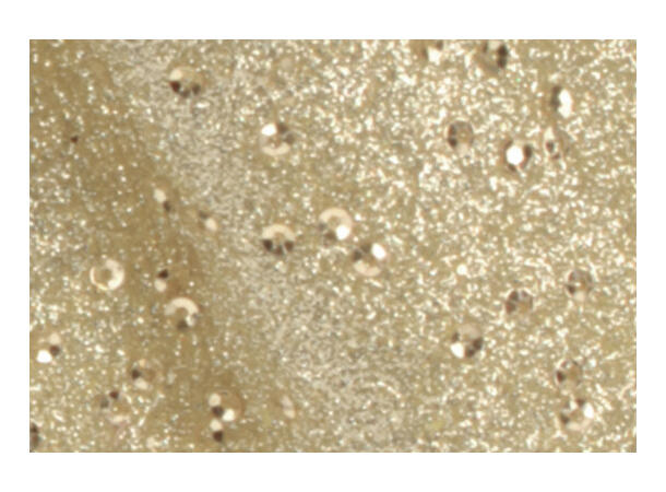 Sløyfe gull glitter 20x24cm 2ass Assortert med glitter/perle 