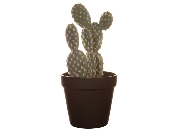 Kaktus sort potte 13x13x26cm Kunstig plante m/sortfarget jord/sand 
