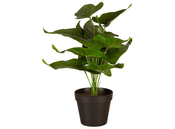 Philodendron sort potte 41x41x35cm Kunstig plante m/sortfarget jord/sand 