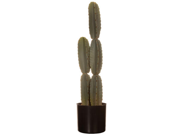 Kaktus sort potte 17x17x70cm Kunstig plante m/sortfarget jord/sand 