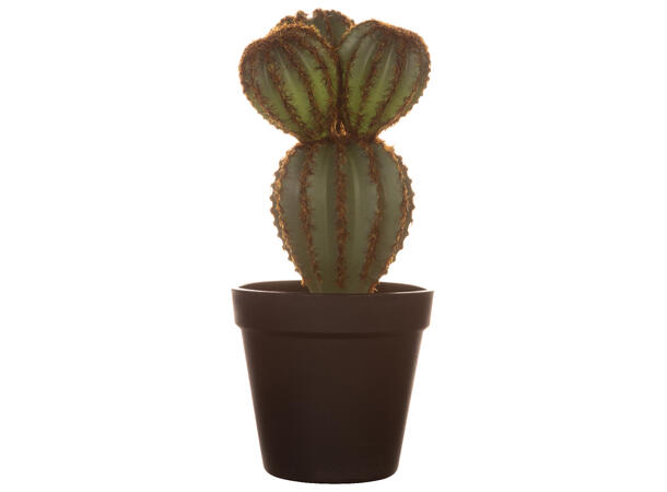 Kaktus sort potte 12x12x25cm Kunstig plante m/sortfarget jord/sand 