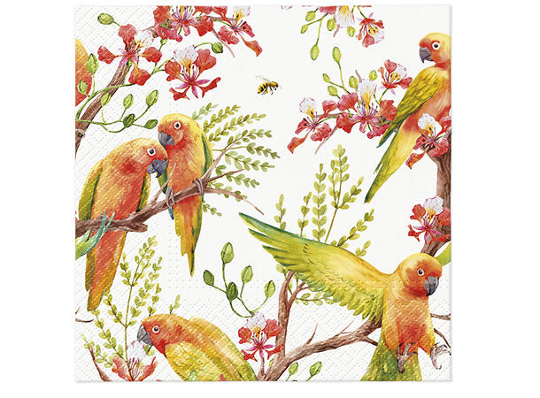 Serviett Exotic birds Lunsjserviett 20 stk 3-lags 33x33cm 