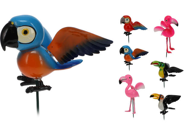 Blomsterpinne fugl 12,5x67cm 6ass Display med 36stk 