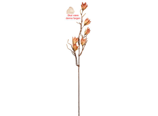 Kvist magnolia lys rosa 100cm 