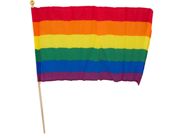 Flagg Pride stoff 30x44cm pinne:60cm 