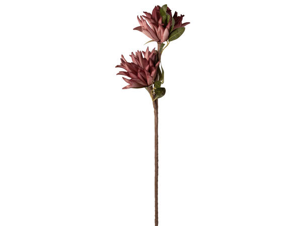 Kvist m/blomst rosa 65cm 