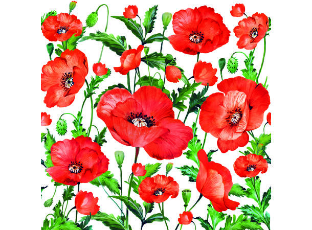 Serviett Flanders Poppy Lunsjserviett 20 stk 3-lags 33x33cm 