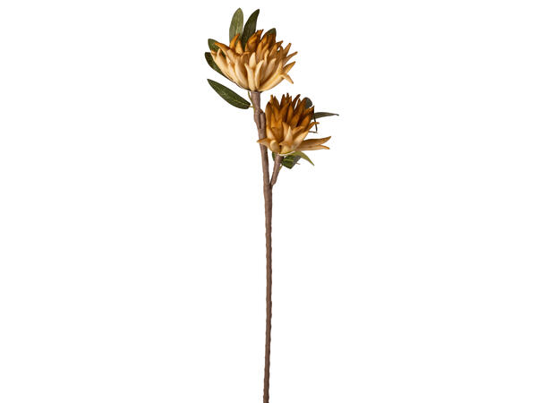 Kvist m/blomst gylden 65cm 