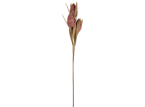 Kvist tropisk blomst lilla 100cm 