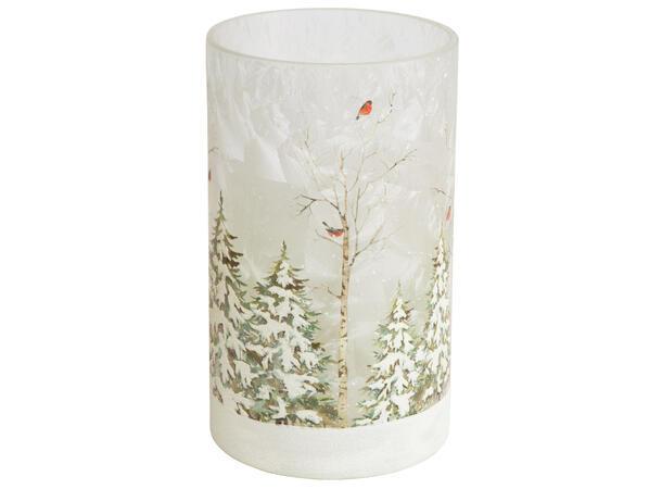 Lysglass frostet skog dompapp 12x20cm 